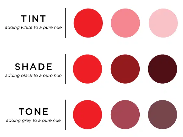 Tints, shades, and tones showing color knowledge 