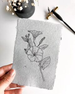 morning glory drawing ideas cami gonzalez calligraphy