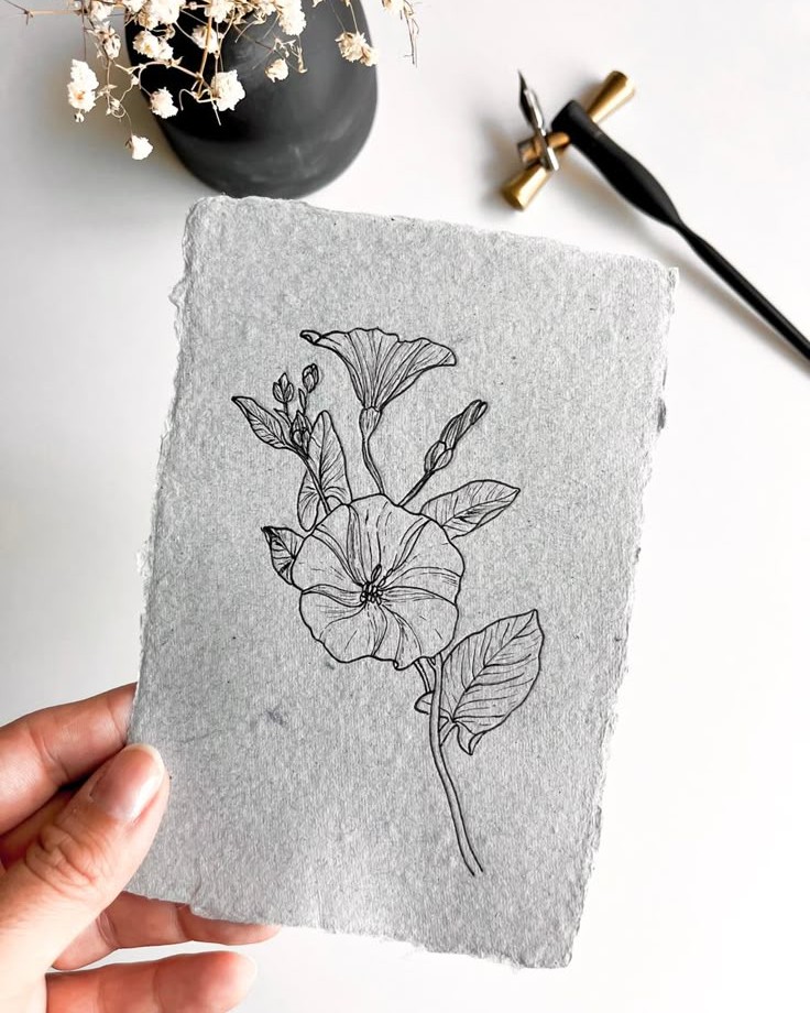 morning glory drawing ideas cami gonzalez calligraphy