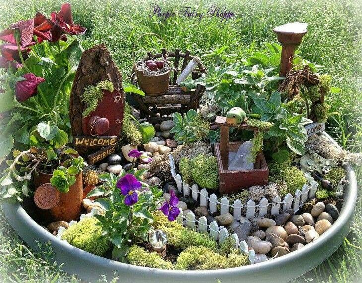 Fairy garden