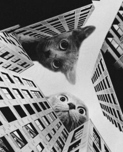 brainrot art on artsydrawings.com about jackson pollock