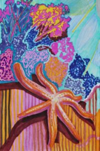 squiggle doodle starfish drawing by brianna eisman quotes about art and painting