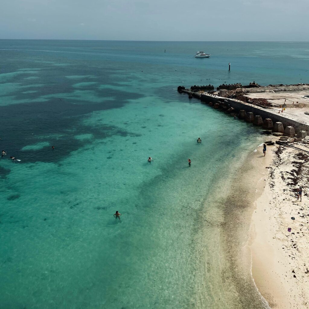 pexels-brianna-eisman-547922903-17834475