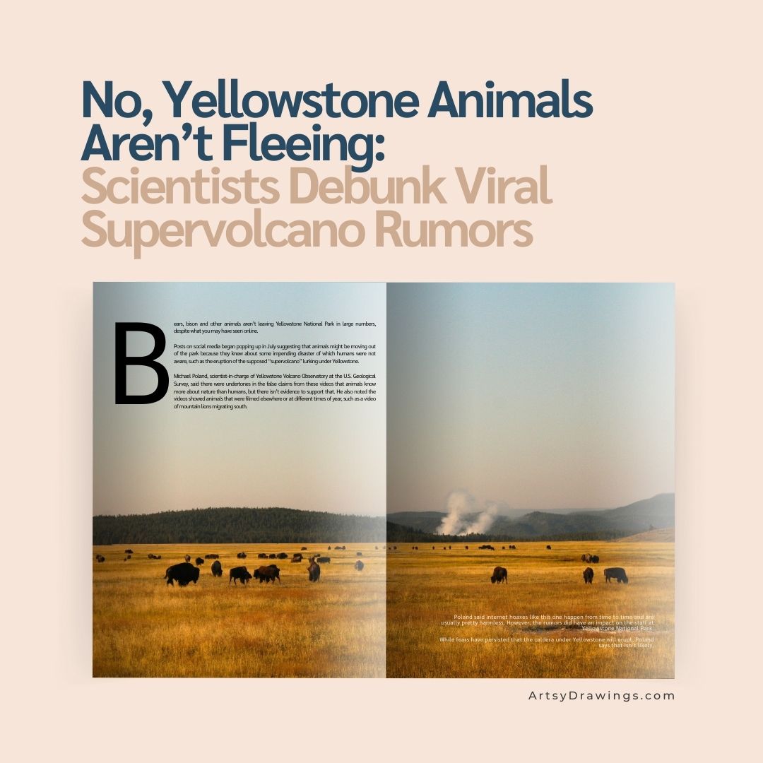 No, Yellowstone Animals Aren’t Fleeing: Scientists Debunk Viral Supervolcano Rumors brianna eisman photography