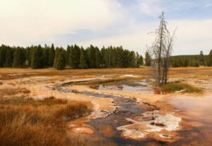 yellowstone national park image by brianna eisman
