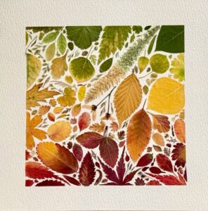 pressed flowers crafts for adults
