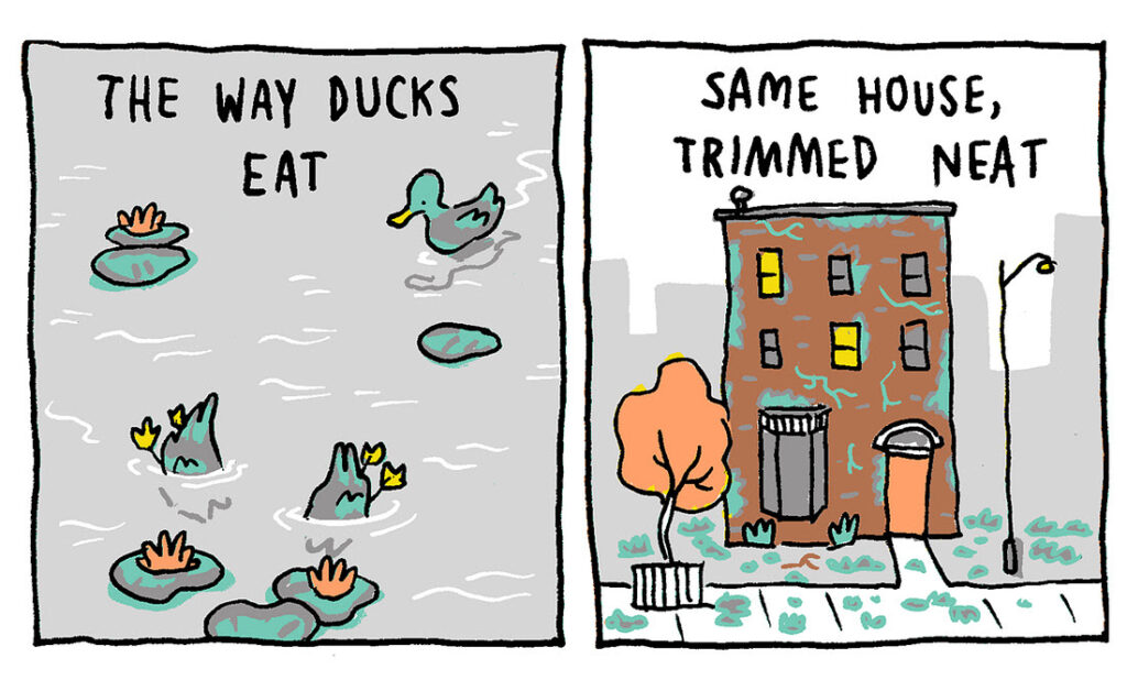 Grant Snider My Favorite Things